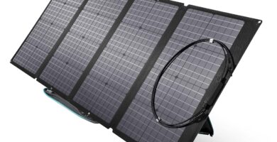 ECOFLOW Panel Solar Portatil